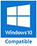 Windows 10 icon