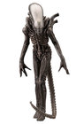 Alien - Xenomorphe "Big Chap"