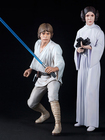 Star Wars - Luke Skywalker & Princess Leia